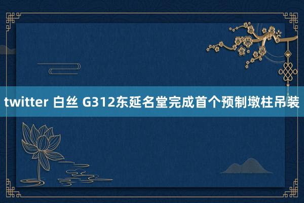 twitter 白丝 G312东延名堂完成首个预制墩柱吊装
