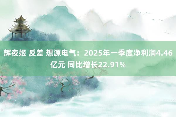 辉夜姬 反差 想源电气：2025年一季度净利润4.46亿元 同比增长22.91%