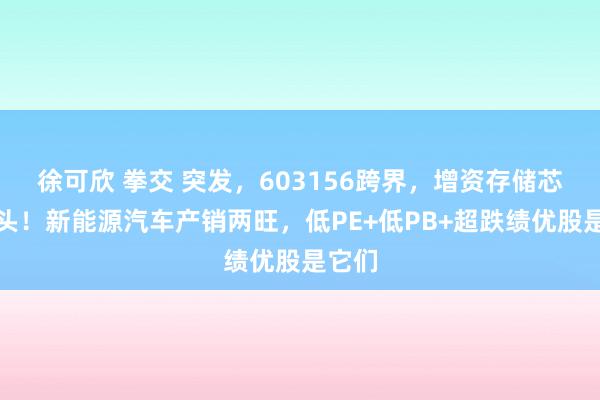 徐可欣 拳交 突发，603156跨界，增资存储芯片巨头！新能源汽车产销两旺，低PE+低PB+超跌绩优股是它们