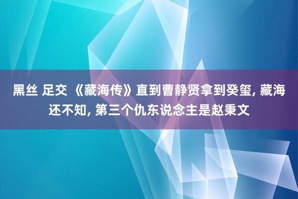 黑丝 足交 《藏海传》直到曹静贤拿到癸玺， 藏海还不知， 第三个仇东说念主是赵秉文